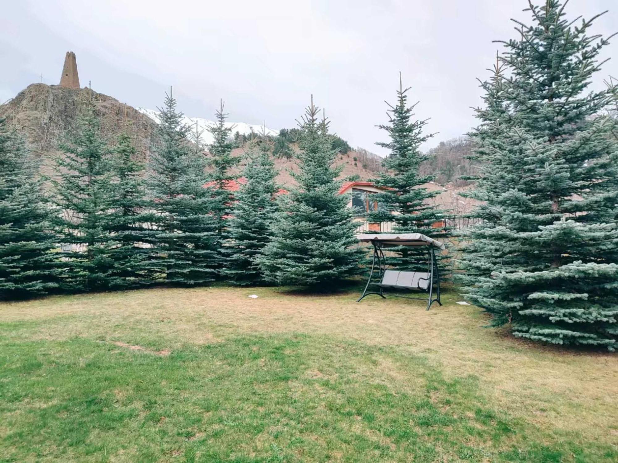 Vardisubani Villa Kazbegi Exterior photo